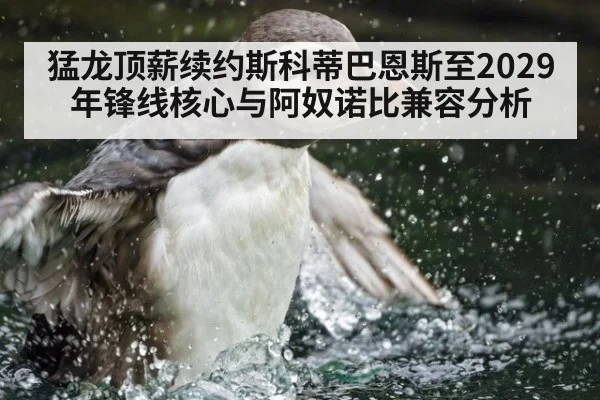 猛龙顶薪续约斯科蒂巴恩斯至2029年锋线核心与阿奴诺比兼容分析